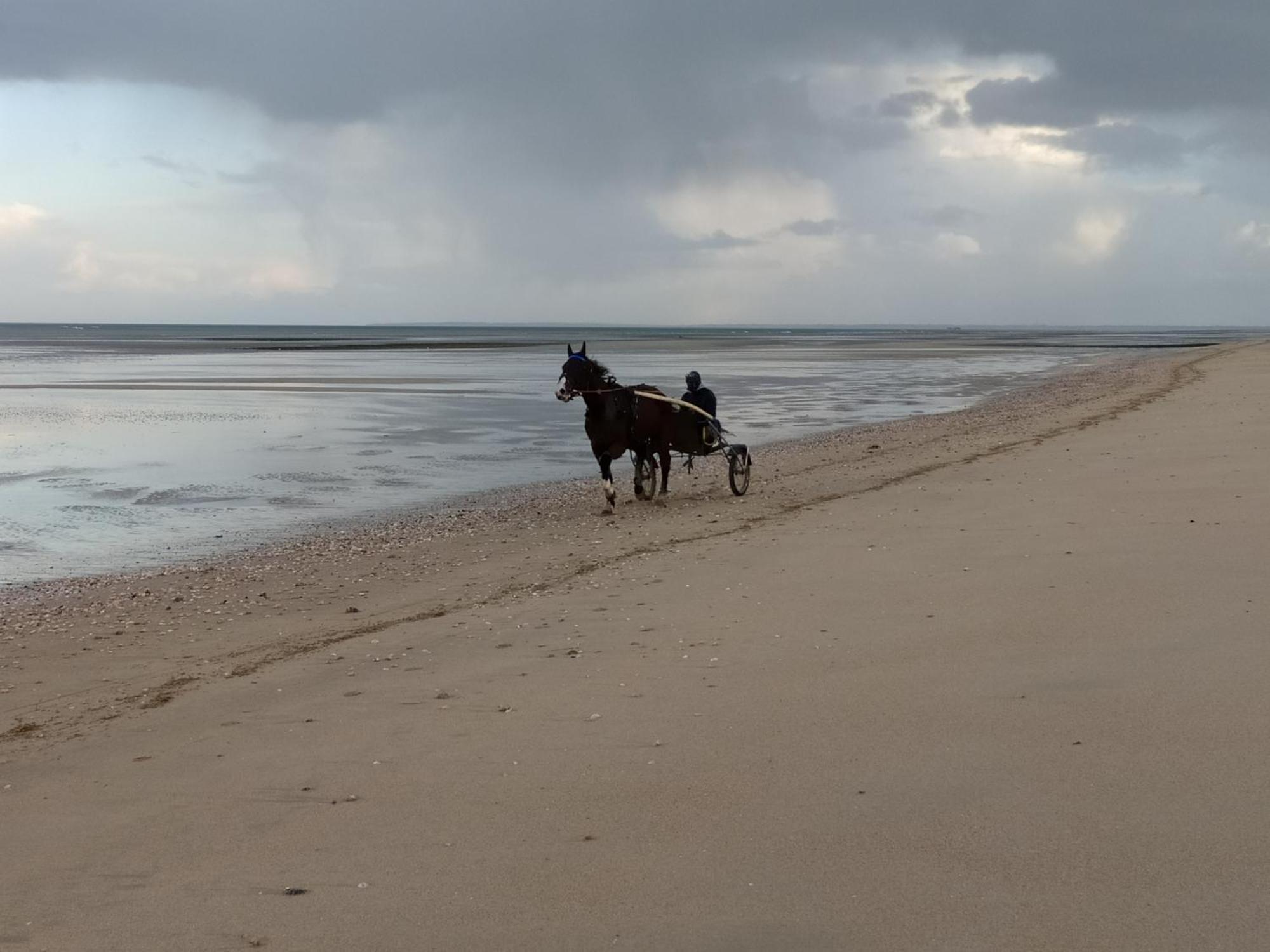 Gites "Plage" Ou "Pieds Dans L'Eau" En Front De Mer A Asnelles , 3Km D'Arromanches, 10Km De Bayeux Exterior foto